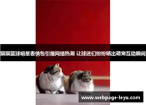 猫猫篮球明星表情包引爆网络热潮 让球迷们纷纷晒出萌宠互动瞬间